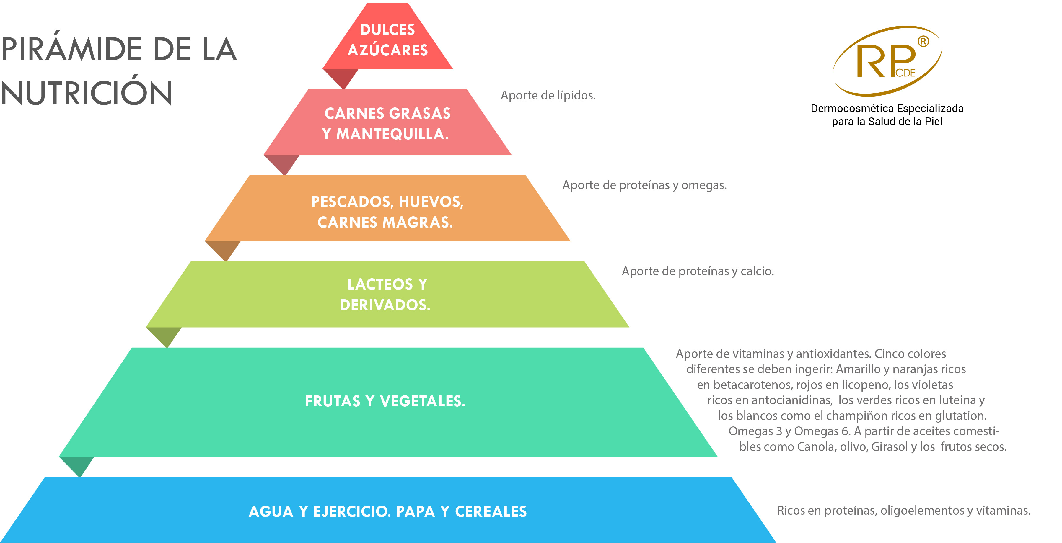 Piramide de la nutricion