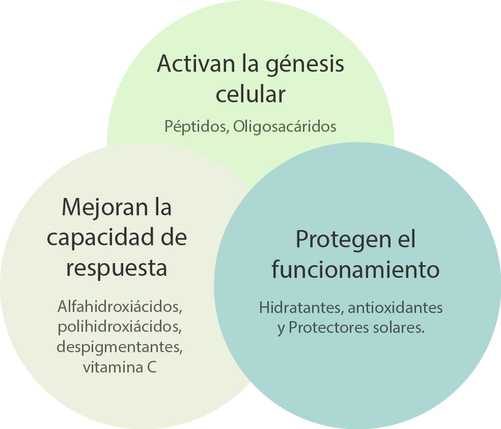 funcionalidad de elementos en la piel